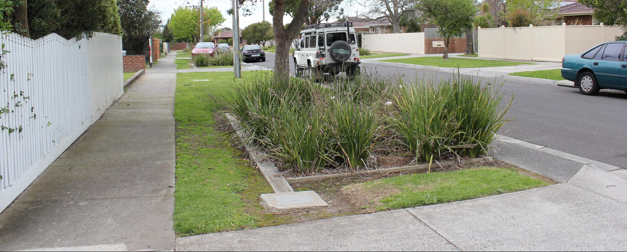 Composing Raingardens in Performing Landscapes