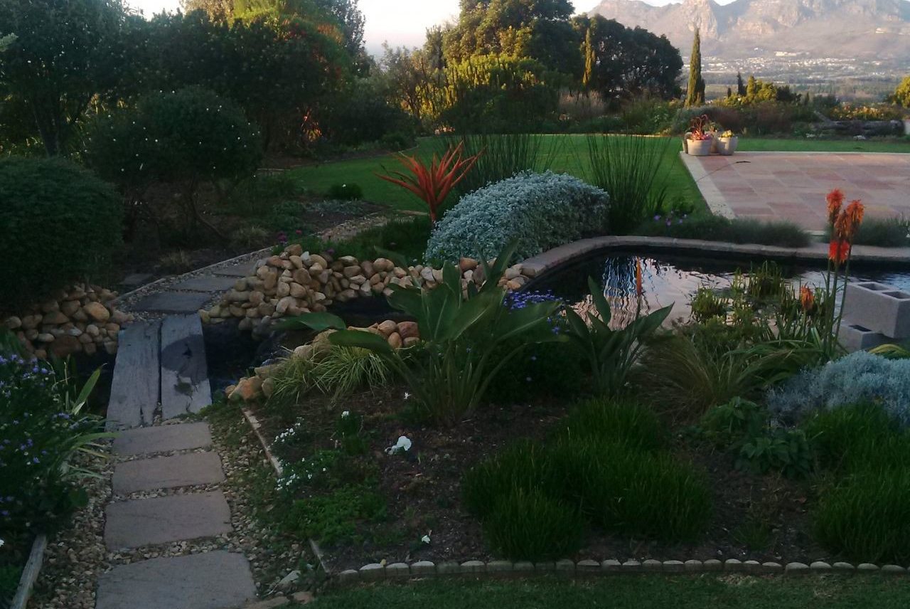 How Does Your Garden Grow? Stories from South African Gardeners