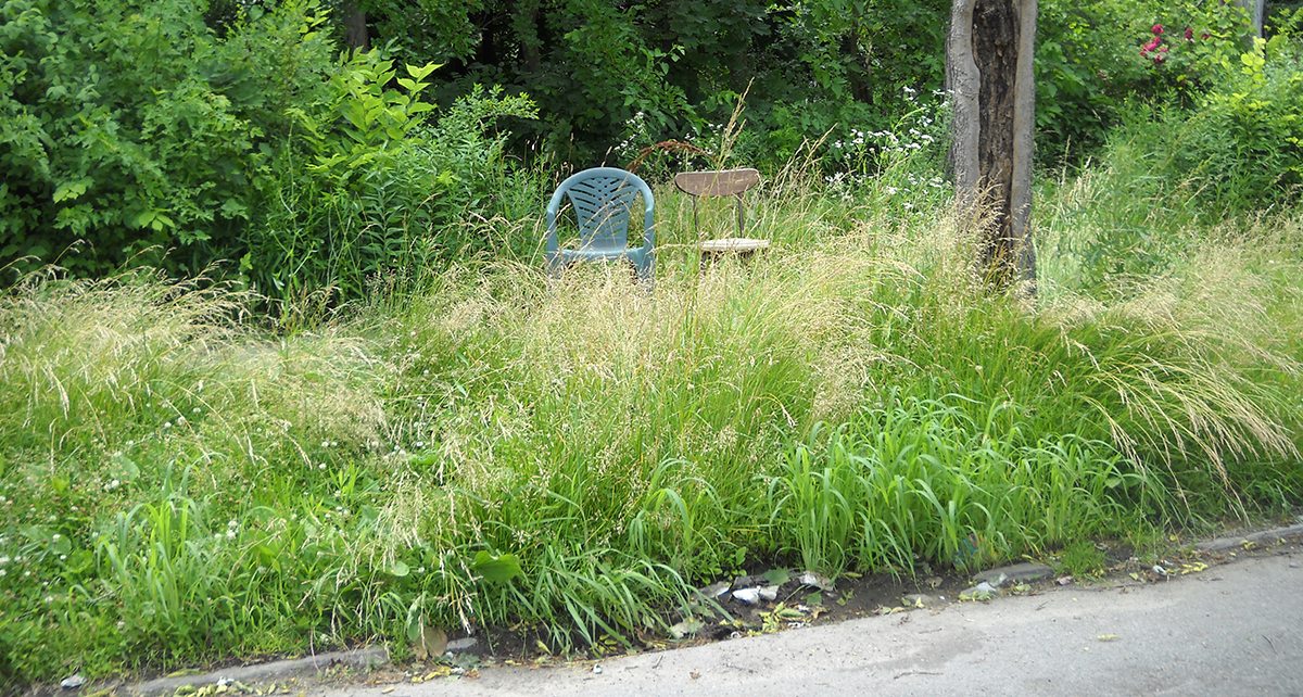 Wild in Detroit: Realizing Opportunity in a New Nature