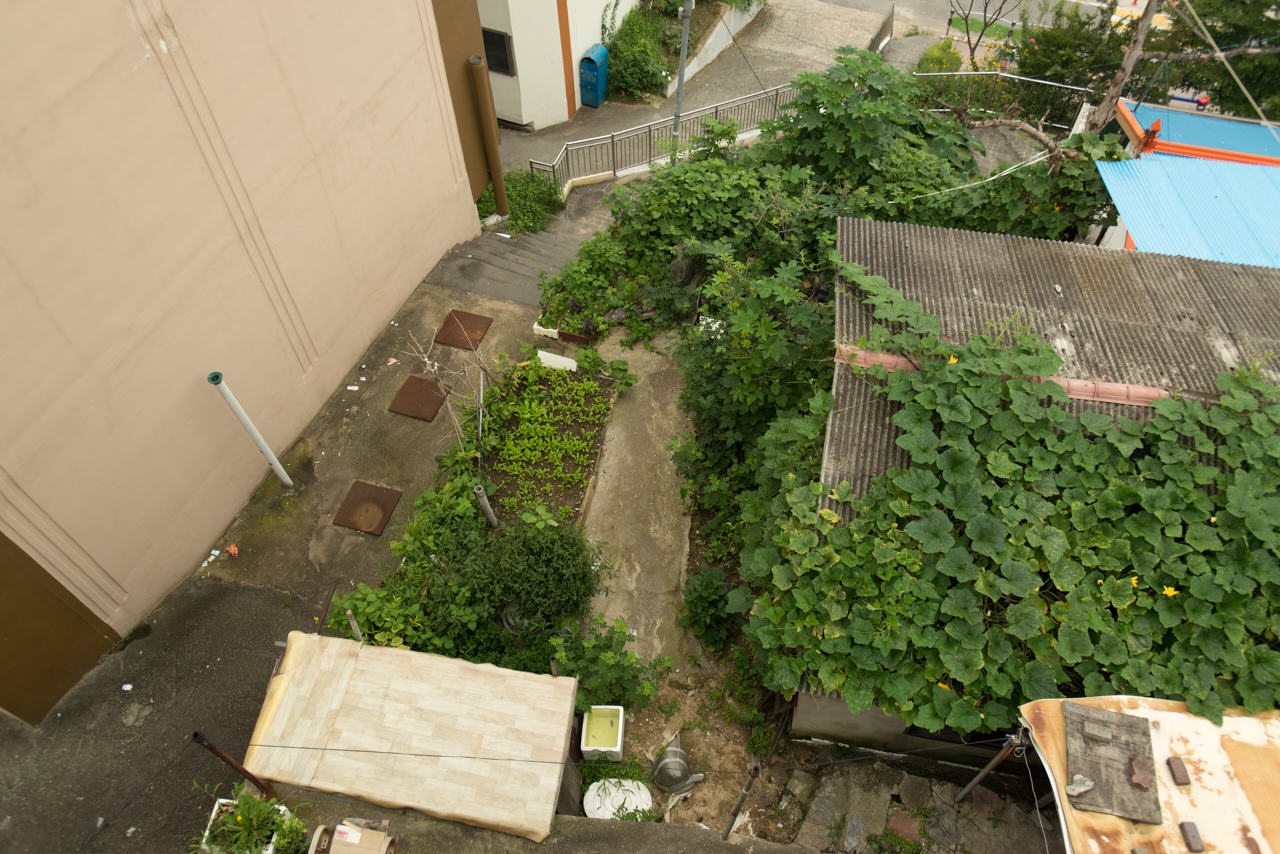 What are “Garden Cities” Without a Garden Culture? How a Cultural Connection with Nature Can Build a Truly Sustainable Future