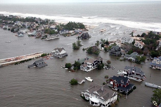What is the insurance value of urban ecosystems and their services?