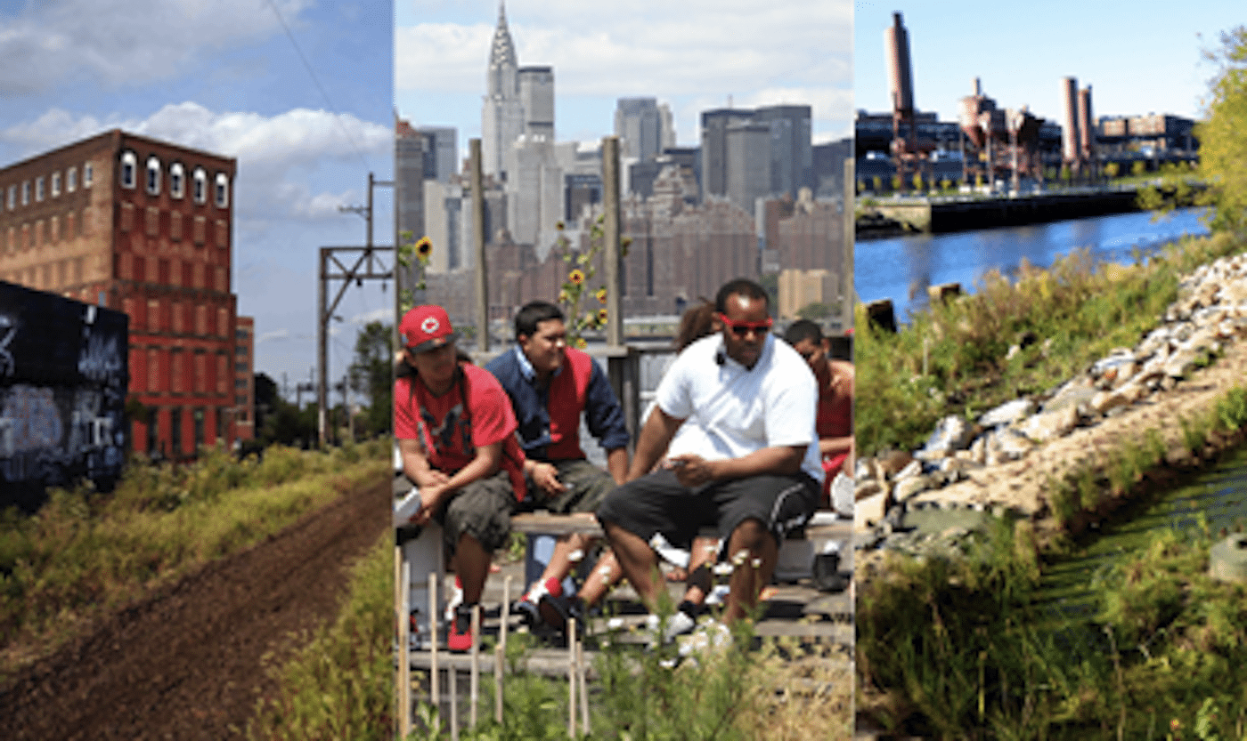 Civic Ecology Meets EdX: An Experiment in Online Social Learning and Action