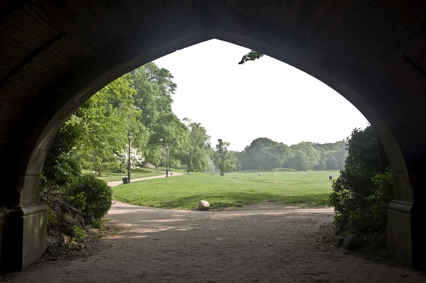 What Makes a “Great” City Park? The Beholder Sees