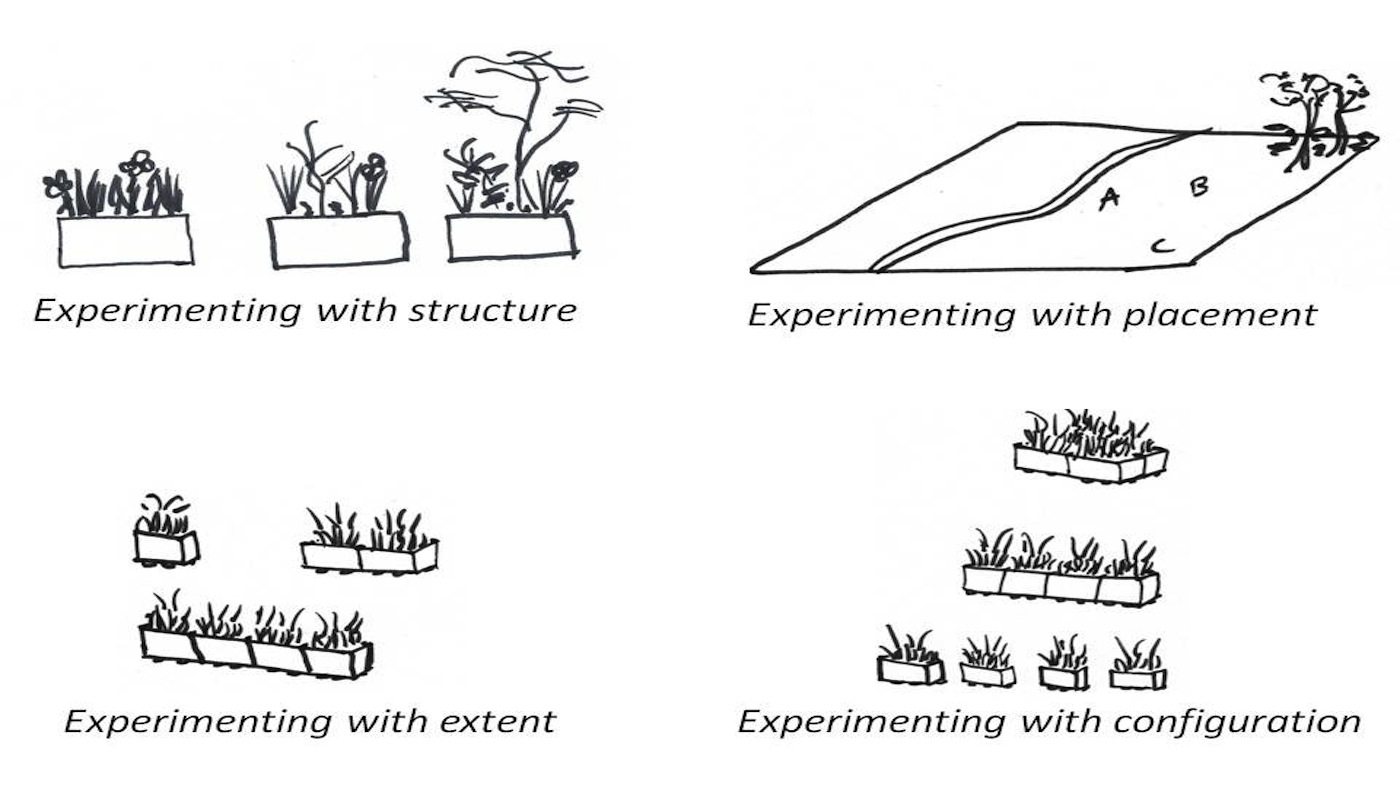 Popup Parks Reveal the Nature of Cities
