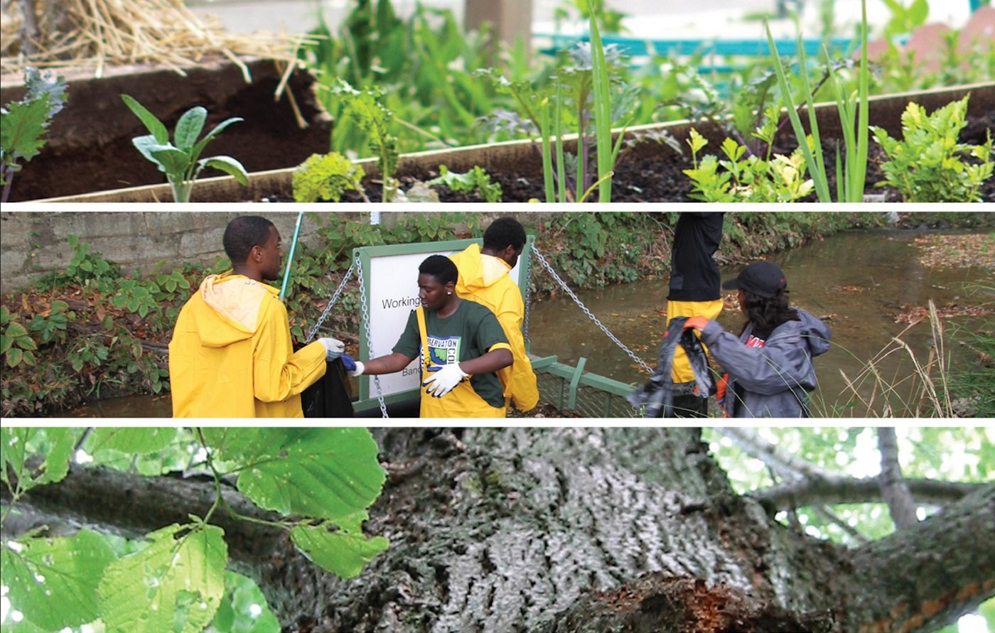 Civic Ecology: A Book that Inspires and Guides Teaching