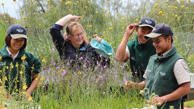 Opportunities and Challenges in Working with Volunteers in Local Parks
