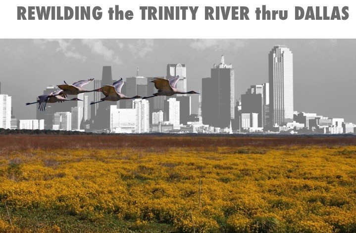 Branch Waters Urbanism: A Concept of Landscape That Organizes the Chaos of “Jungle Cities”