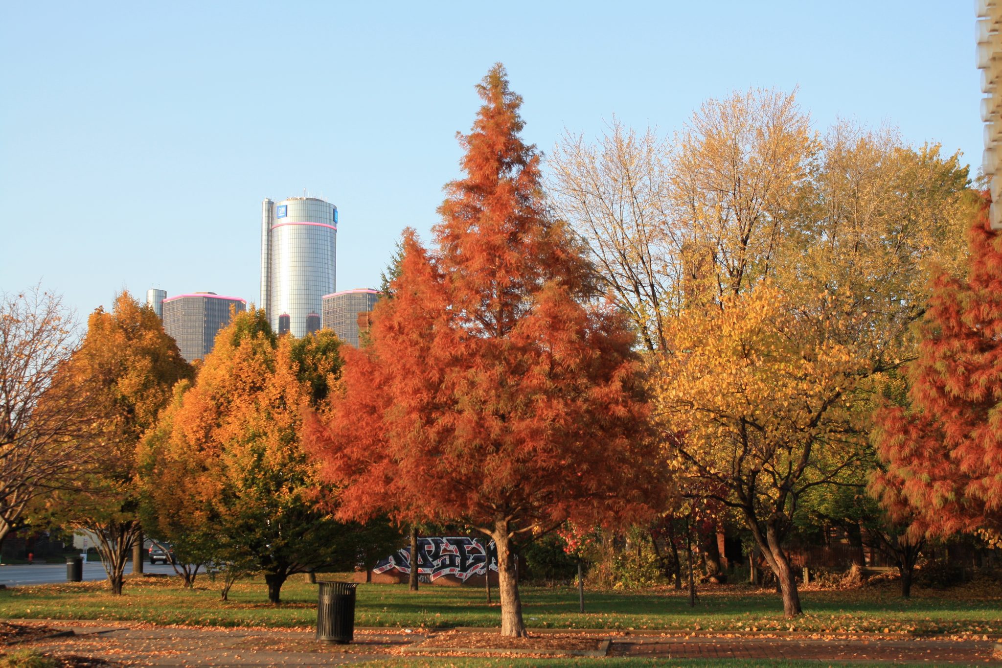 Lessons from Tinseltown: Nature’s Role in Alleviating Homelessness