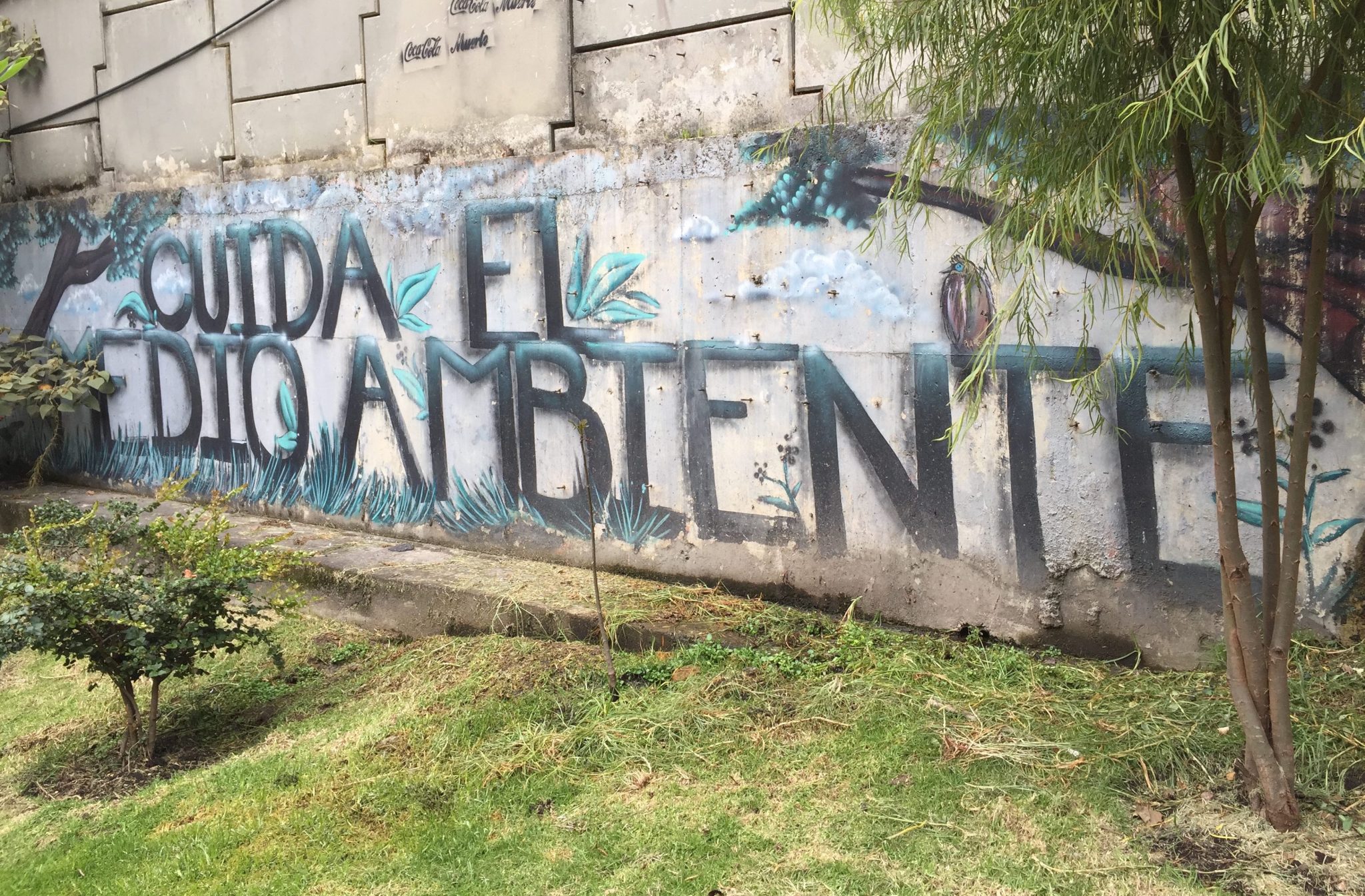 Creative Place-Making—This is The Nature of Graffiti