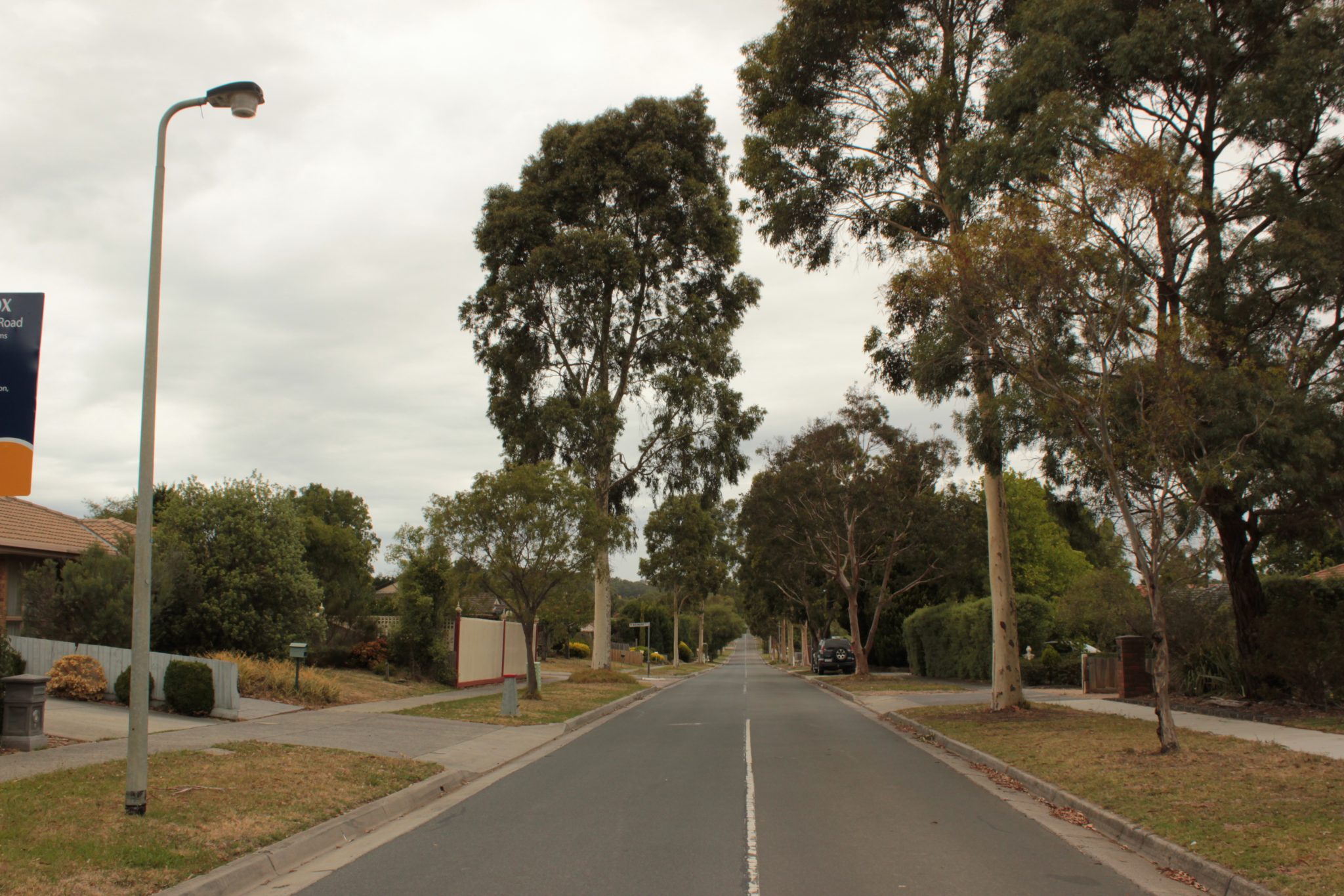 Greening Cities with an Urban Forest across Both Public and Private Domains