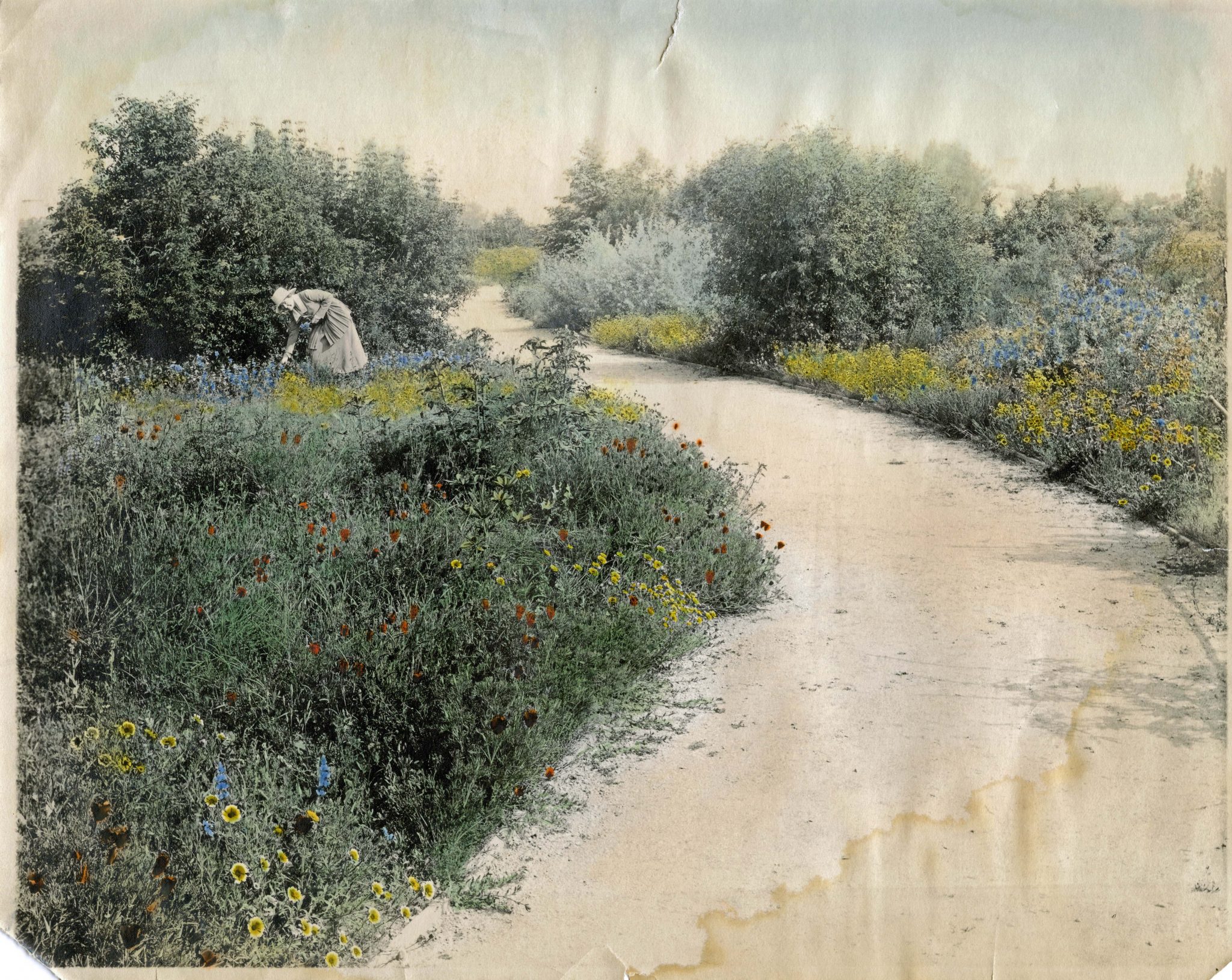 The New Vocabulary of Urban Landscaping for Southern California