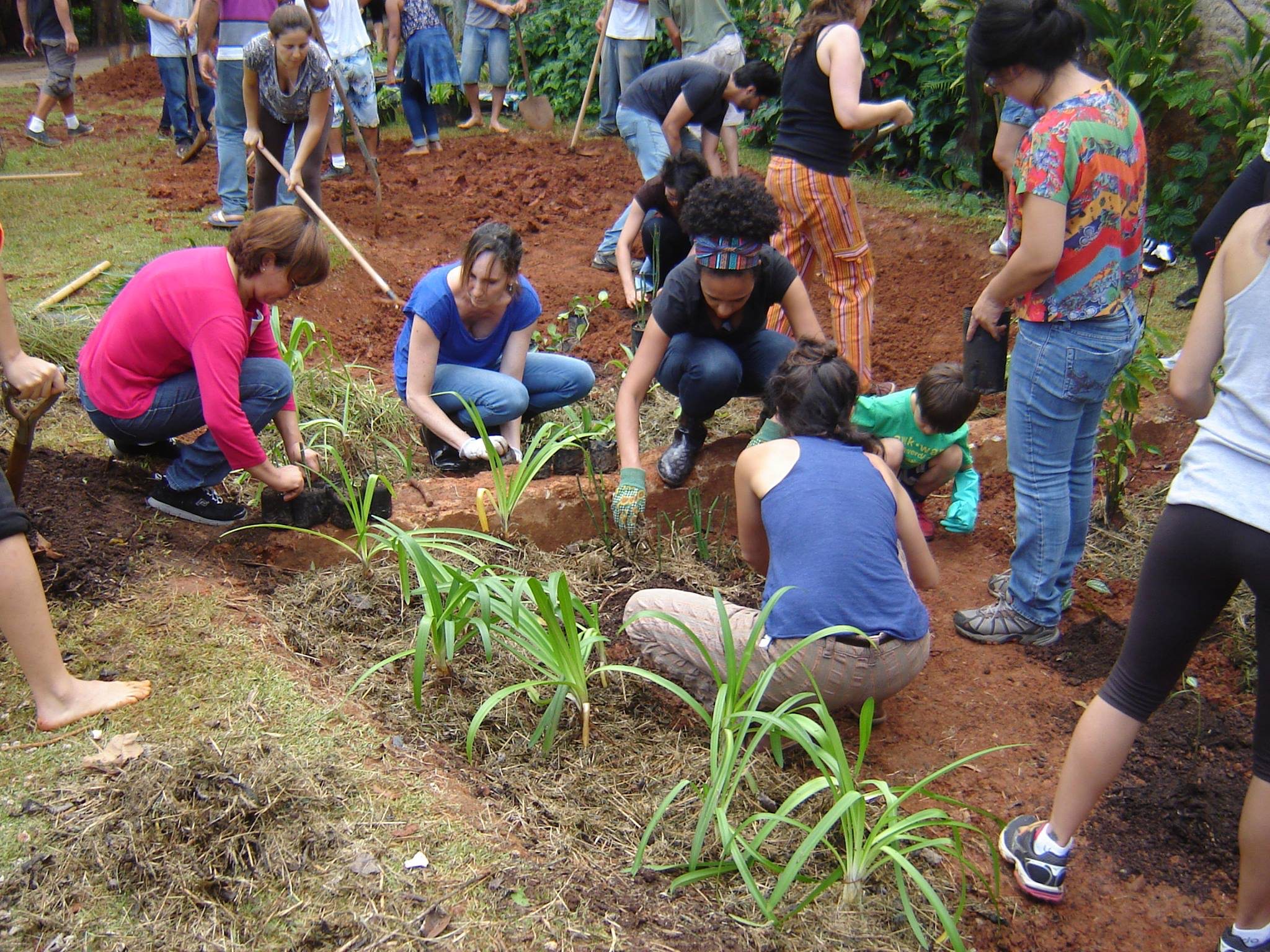 People Working for Nature in Cities: the Invisible Revolution