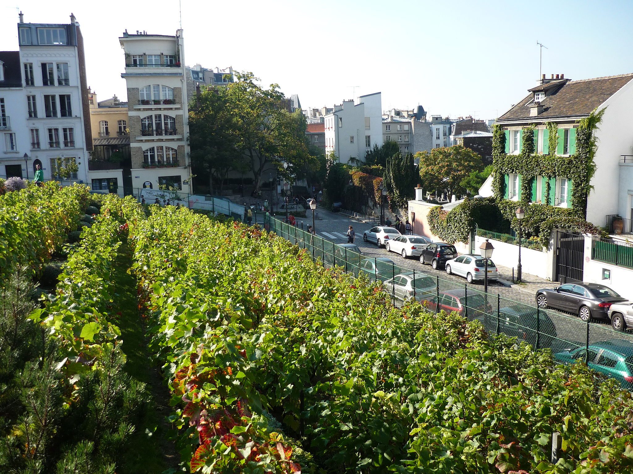 Confronting the Dark Side of Urban Agriculture