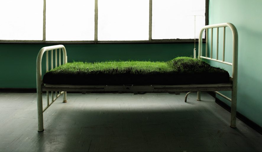 Visions of resilience: Eighteen artists say or show something in response to the word “resilience”