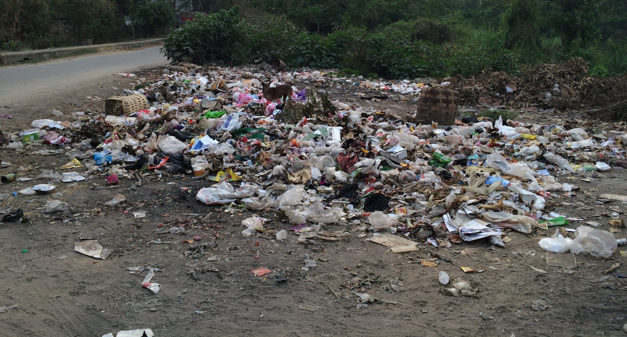 Establishing New Models of Human Rights: Creating Clean Places to Live