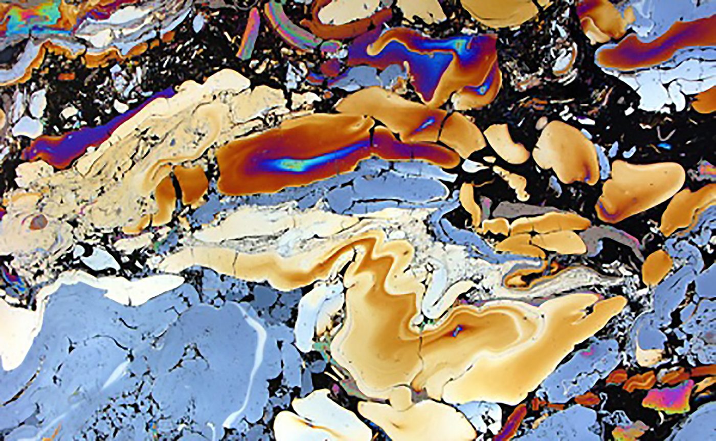 Look Who’s Coming to Dinner…Bacteria that Eat the Gowanus Sludge—TNOC Podcast Episode 7