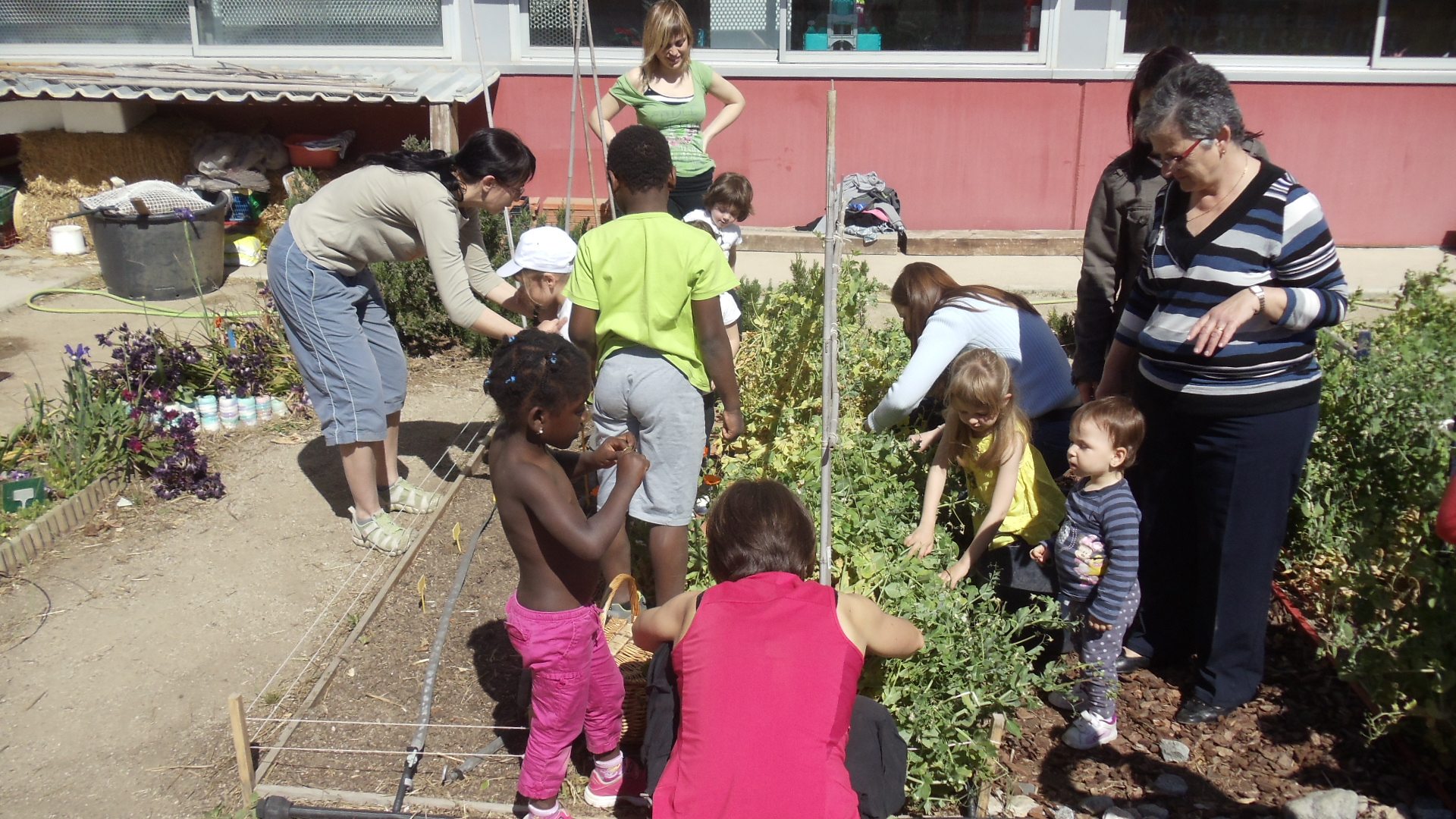 School Partnerships are Key to Vibrant and Sustainable Cities
