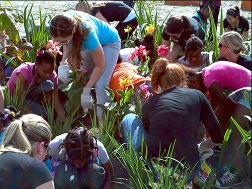 A Sustainable Future with Jobs and Social Harmony Starts with Urban Nature