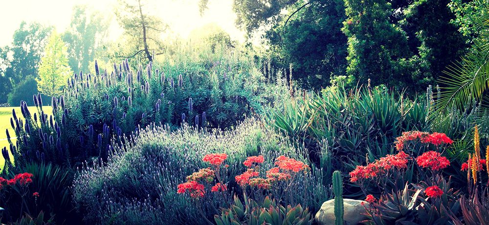 Scentimental Associations with Nature: Odor-Associative Learning and Biophilic Design