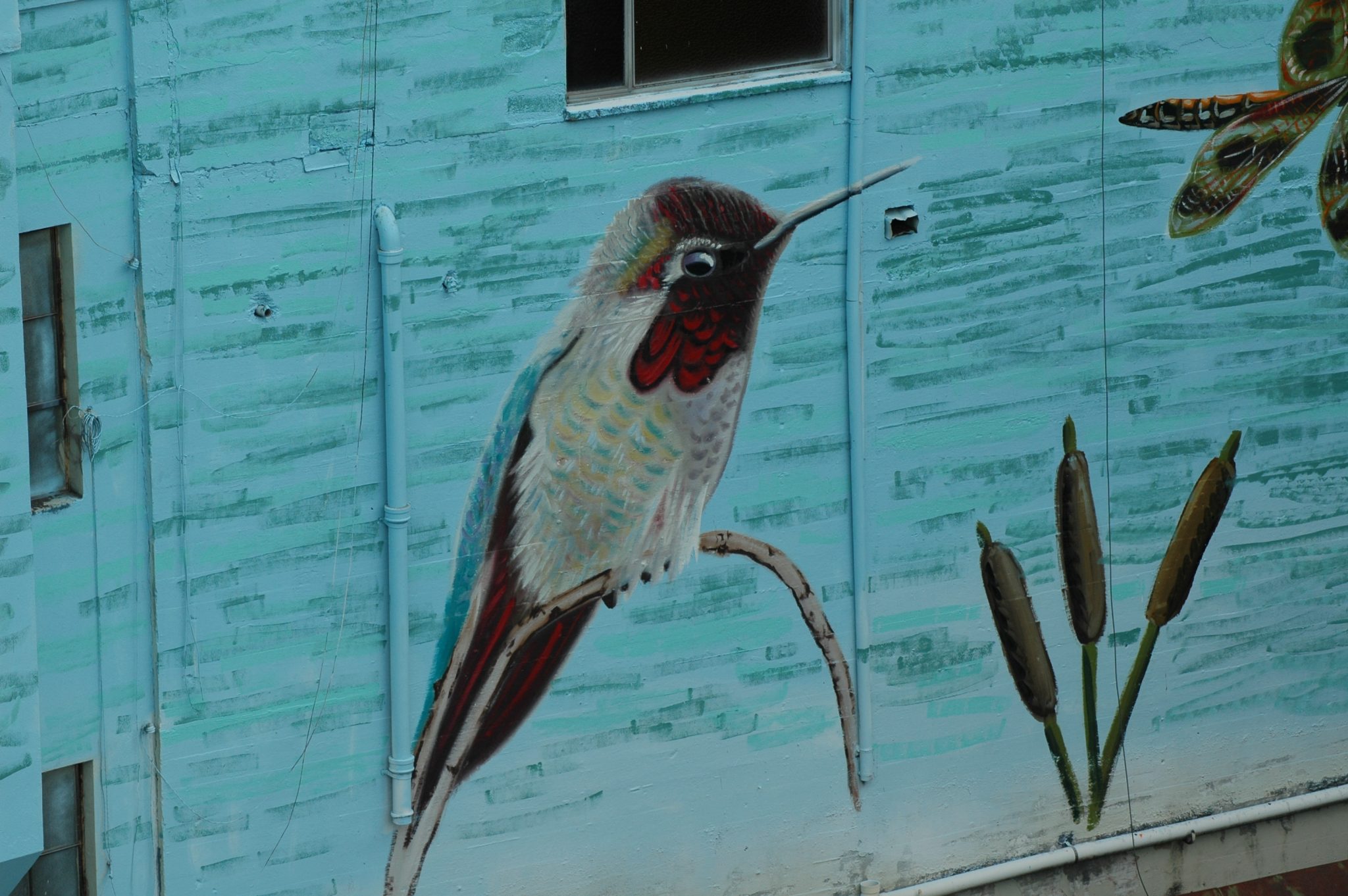Anatomy of a Mural: A Seventy Foot Heron Transforms a Lifeless Wall
