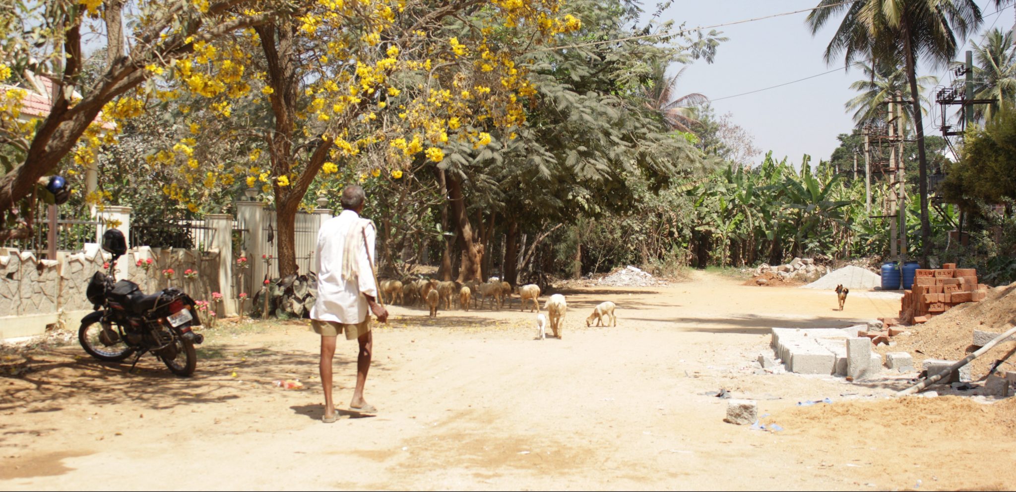 Despite Strategic Focus on Resilience, Nature-Based Solutions May Remain Under-Utilized in Indian Cities