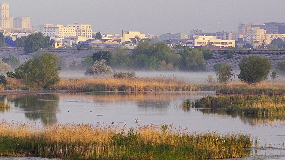 Restoration of Natural Ecosystems Makes Society Thrive