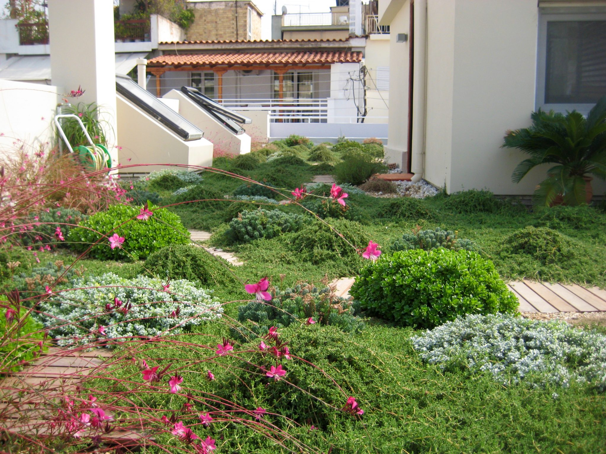 When Will We Start to Green the Roofs of Cities on a Massive Scale?
