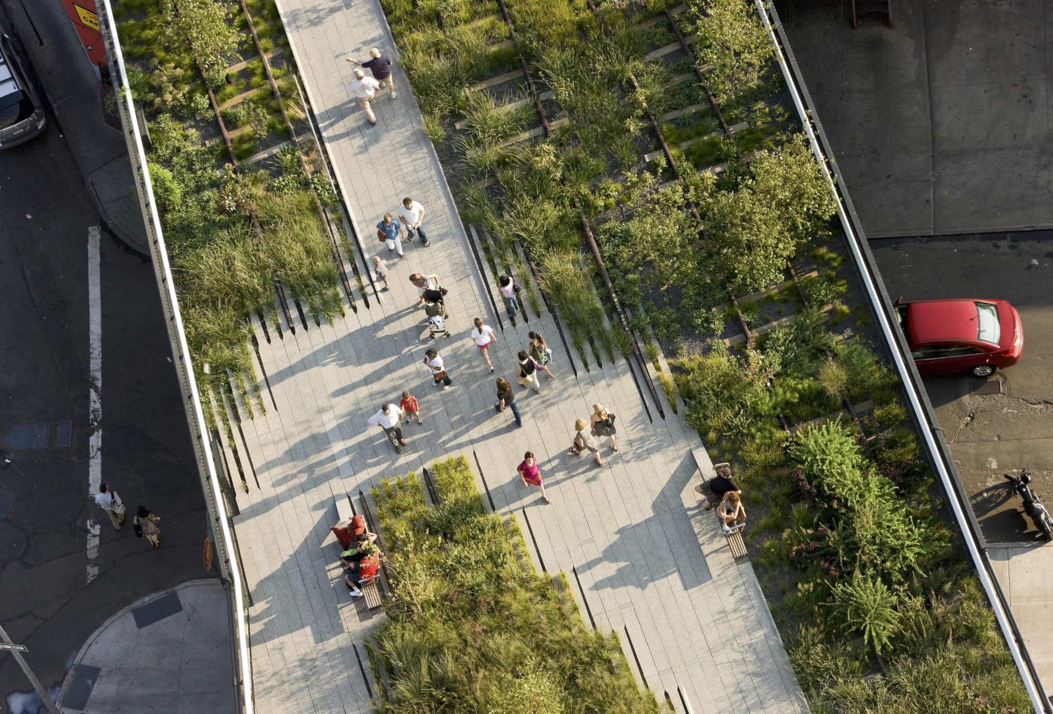 The High Line. Foreseen. Unforeseen.