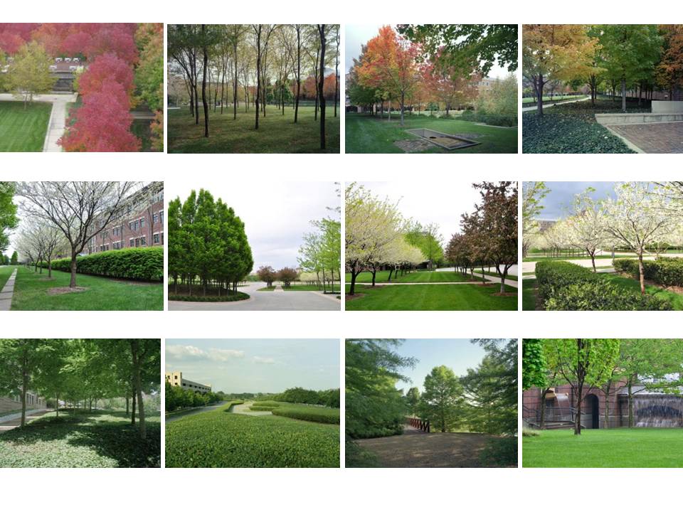 ONE LANDSCAPE: A MINI Treatise on the Suburban MEGA City and Tactics to Design Within It
