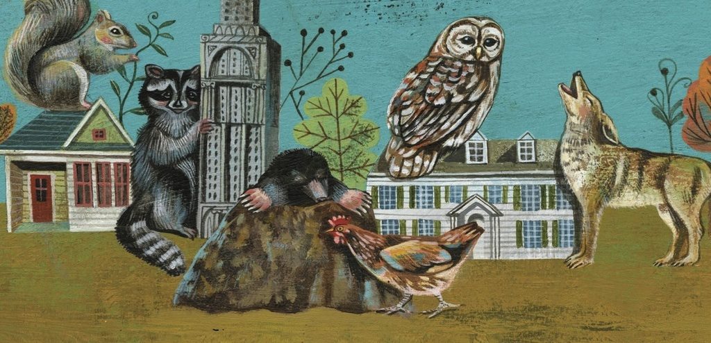 Lessons from Beasts, Birds, and Other Inhabitants of the Urban Jungle