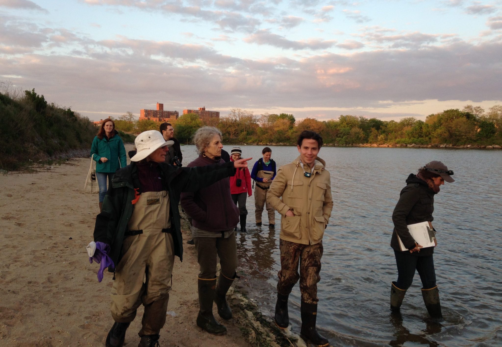 How can we make urban nature and its value more apparent, more “visible” to people?