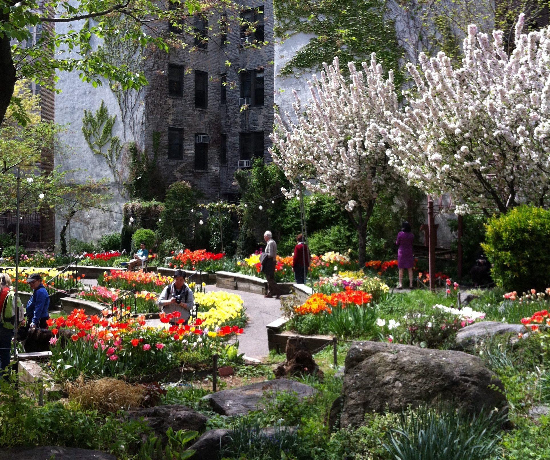 Morphology, Generosity, and the Nature of Cities