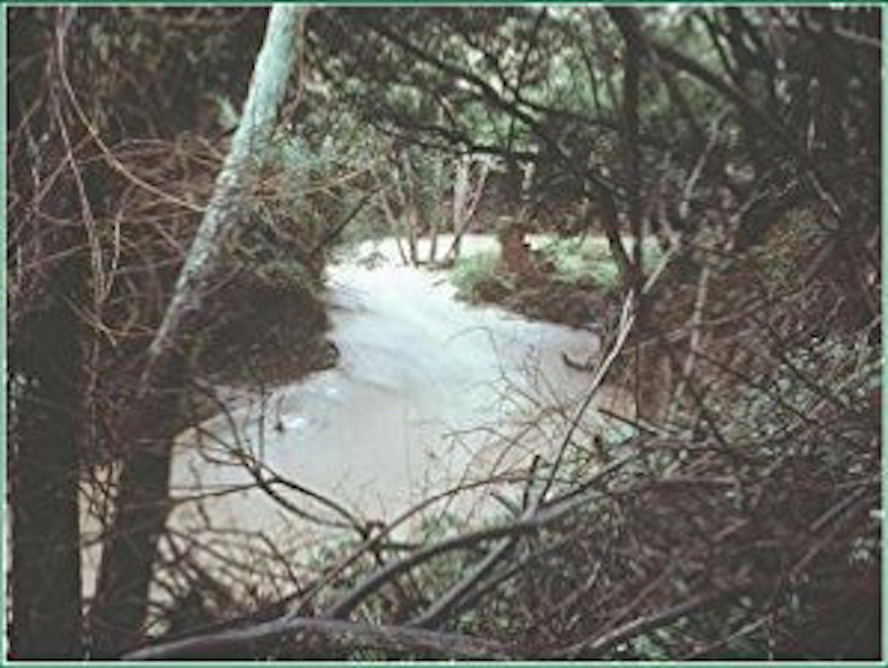 Full Function May Remain Out of Reach, But Urban Stream Restoration Can Empower Communities
