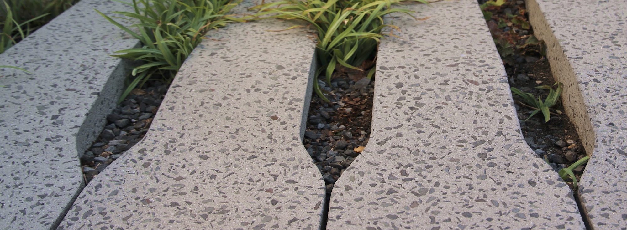 Environmental Education Generates Urban Sustainability