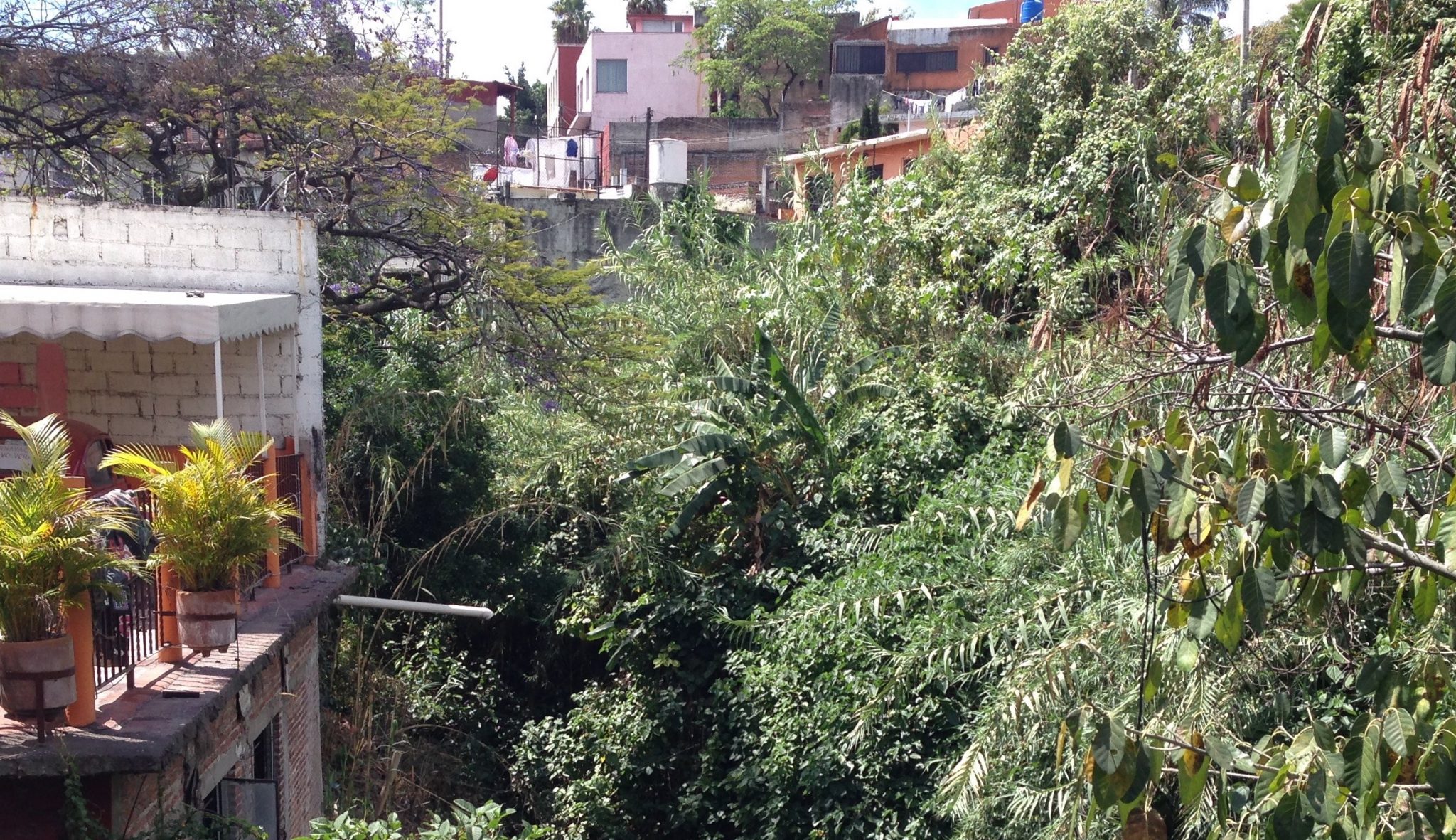 The Barrancas of Cuernavaca: Rescuing Lost Landscapes Hidden by Garbage