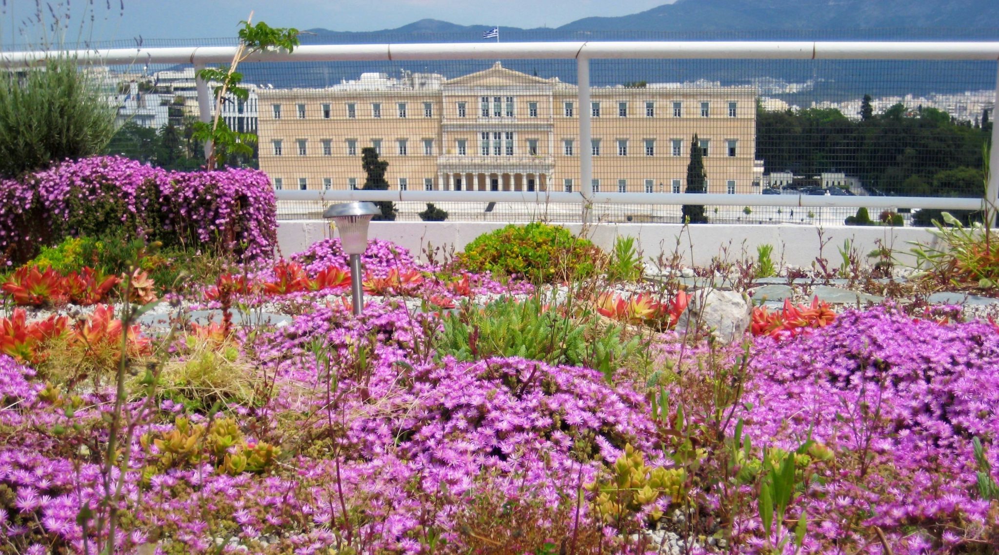 The Models are not Prescriptions—Applying Green Roof Technology in New Places