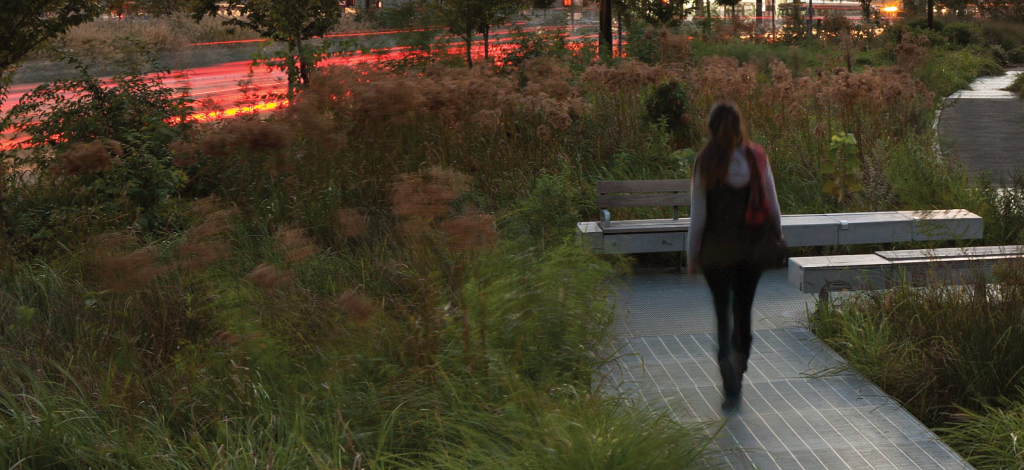 The Devil is in the Details: Wild Design, from an Ecological Point of View