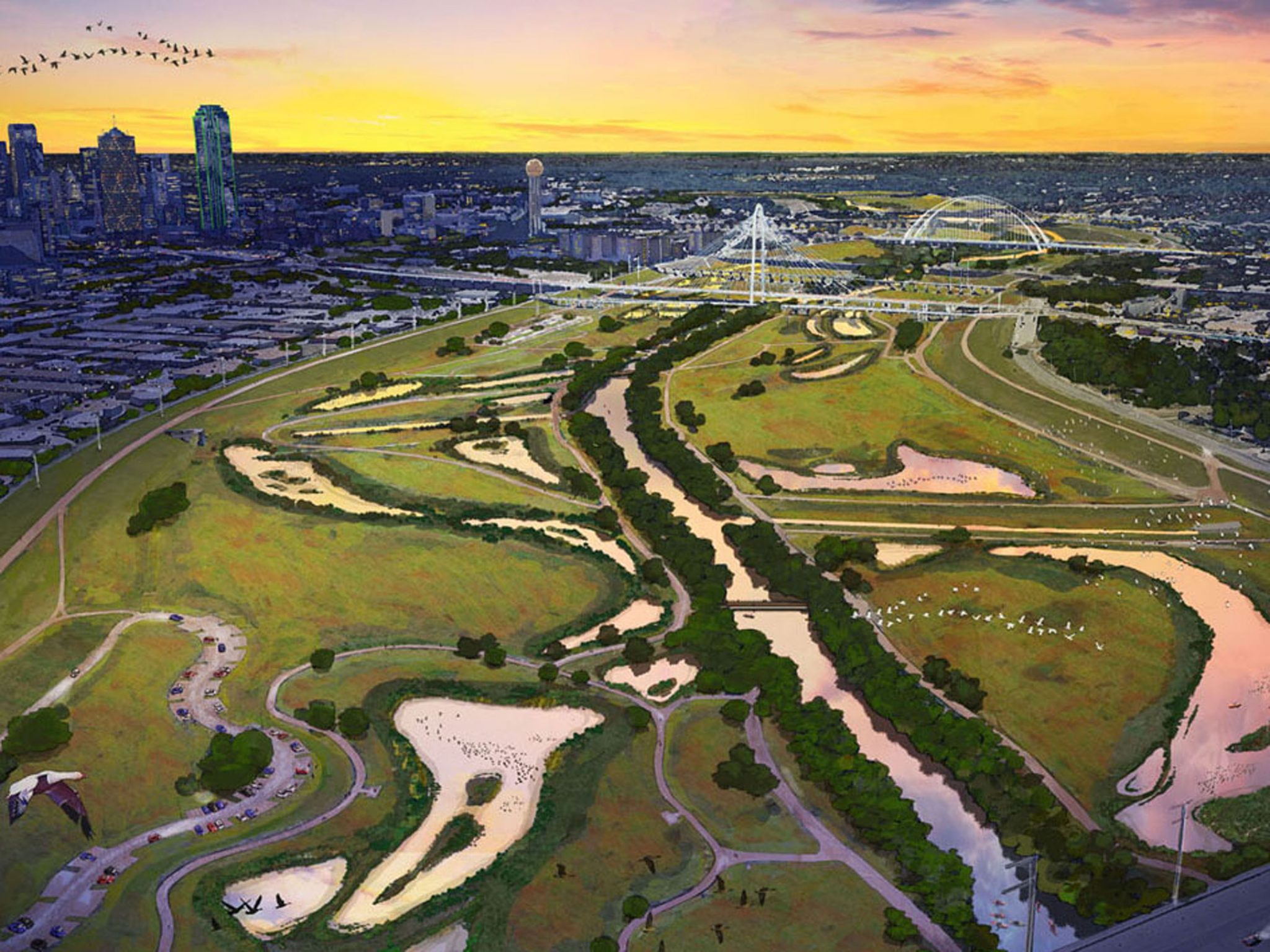 Re-Wilding: Cities by Nature