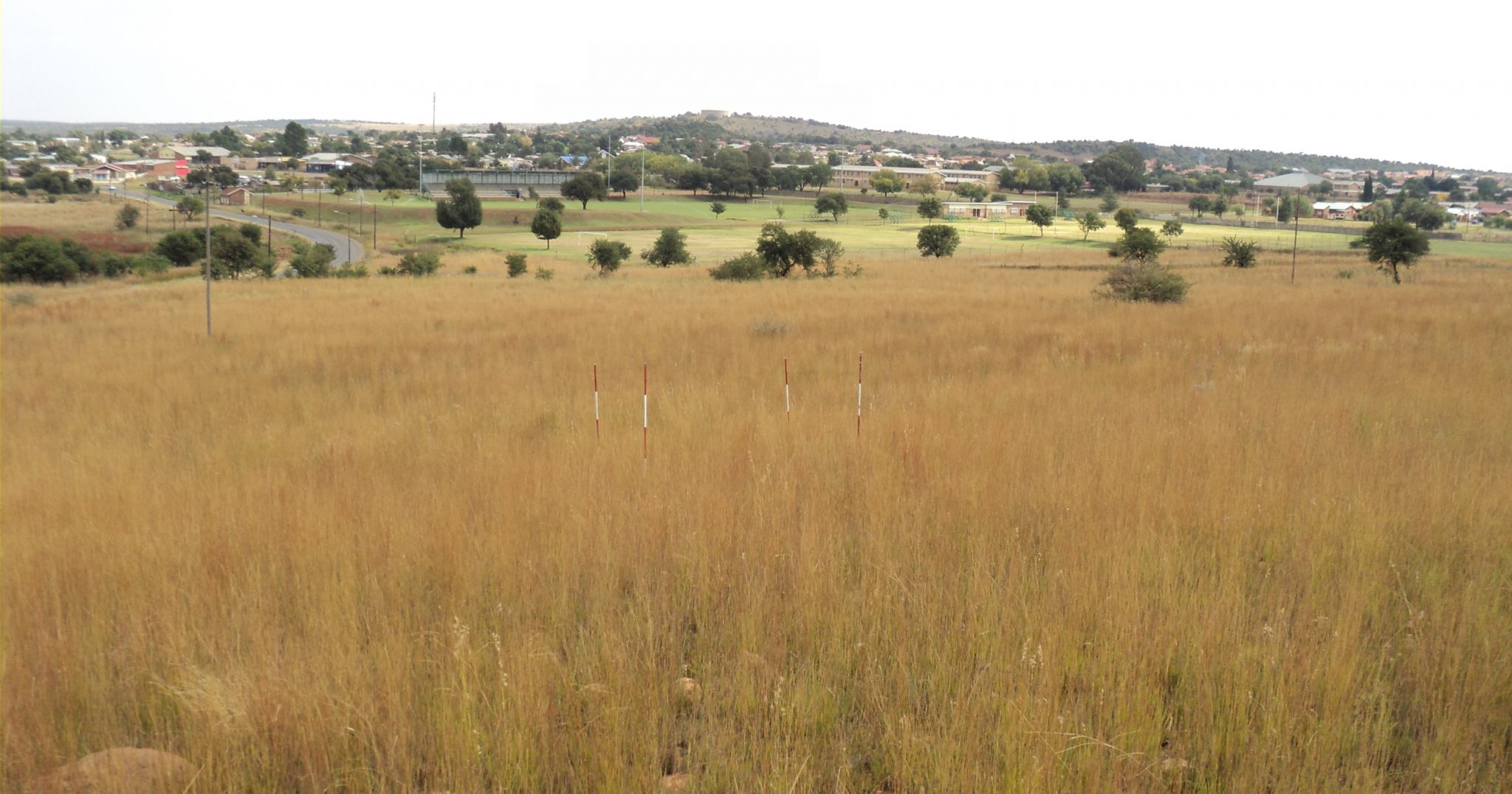 Extinction Debt: Is Urban Nature Conservation in Peril?