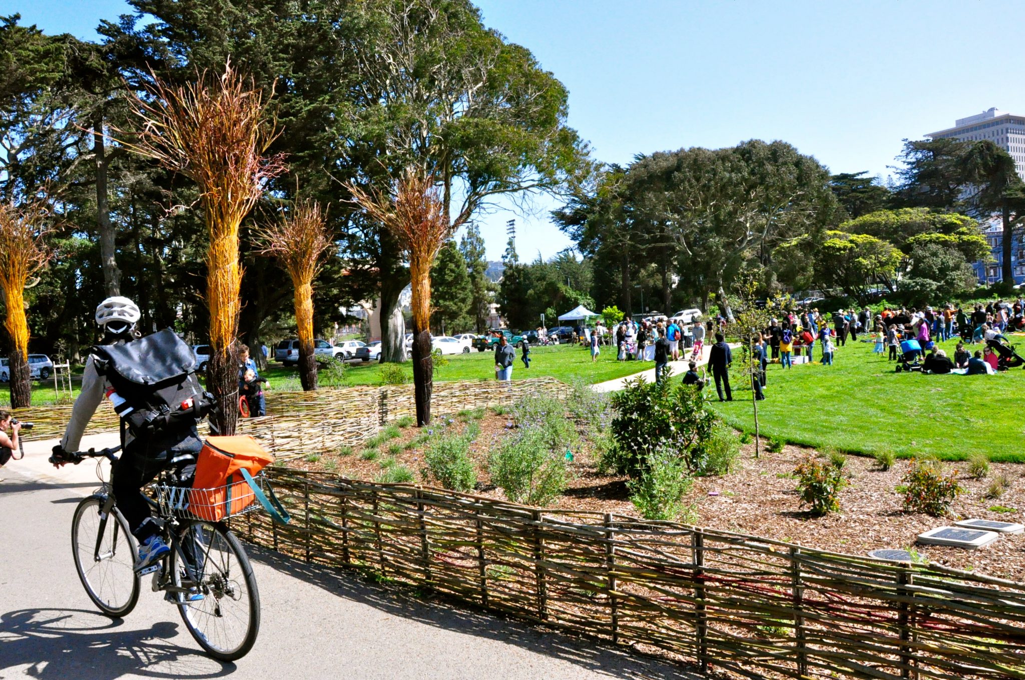 To whom does a city’s nature belong? Is it a common pool resource, or a public good? And who decides?