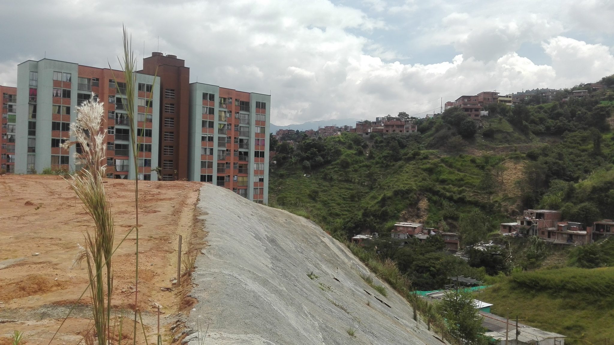 Urban Landscape: Reading Nature from Big to Small Scales