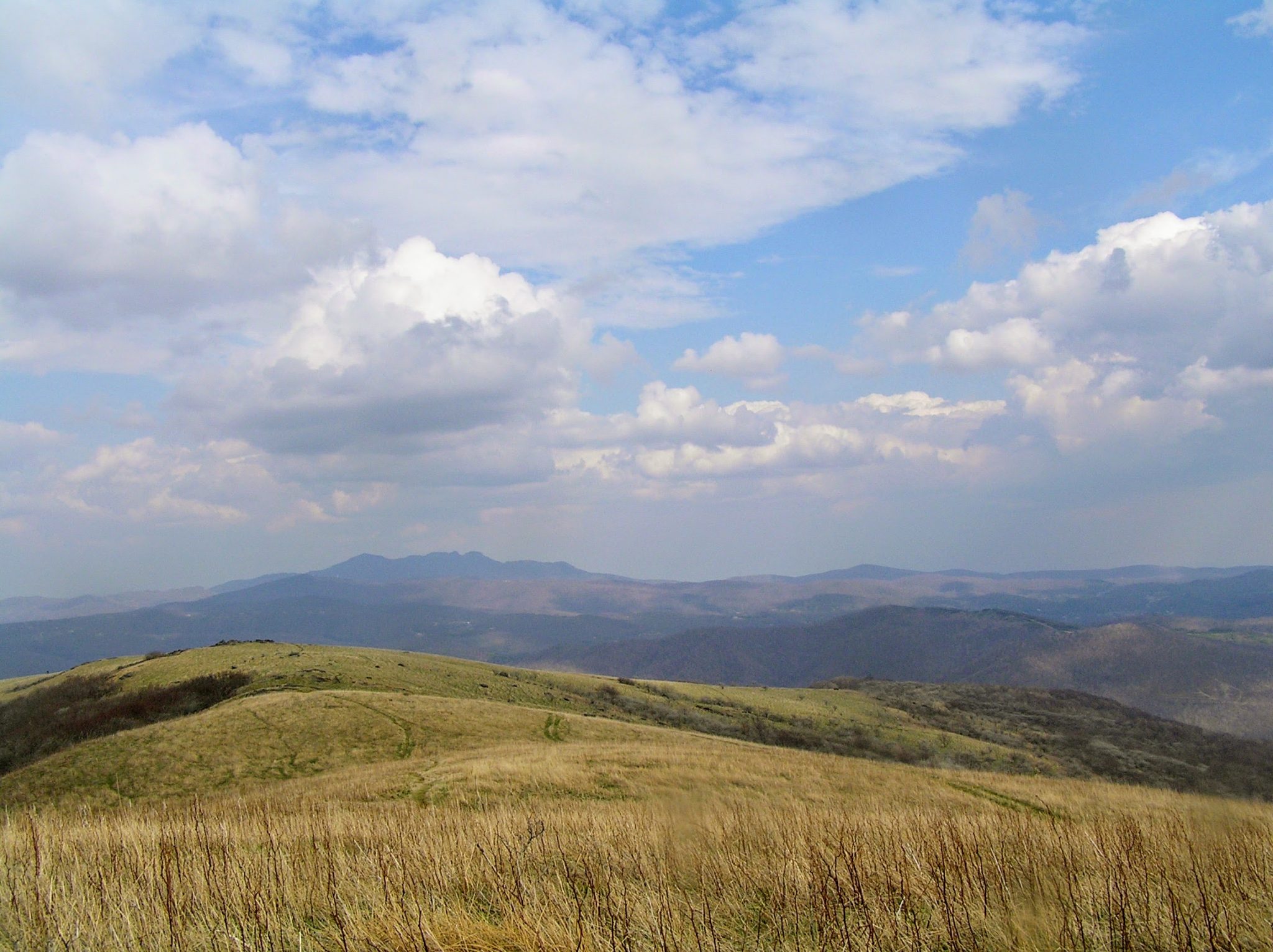 Thinking about a Landscape Approach to Revitalize the American Landscape