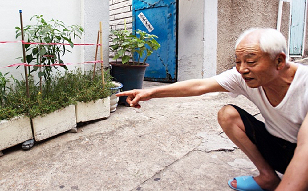 What the Garden-Hacking Grandmas and Grandpas of South Korea Know