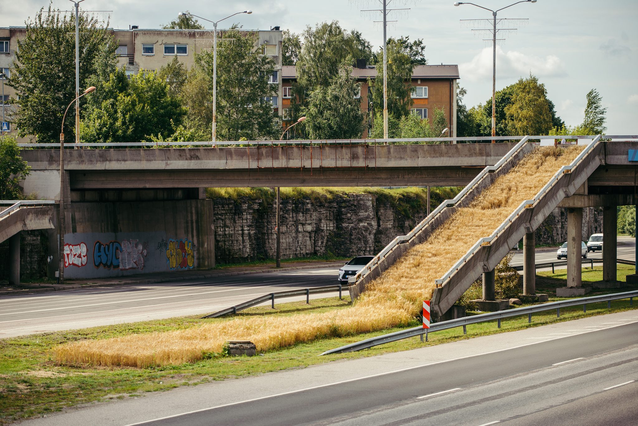 A Barley Field Grows on Soviet Concrete