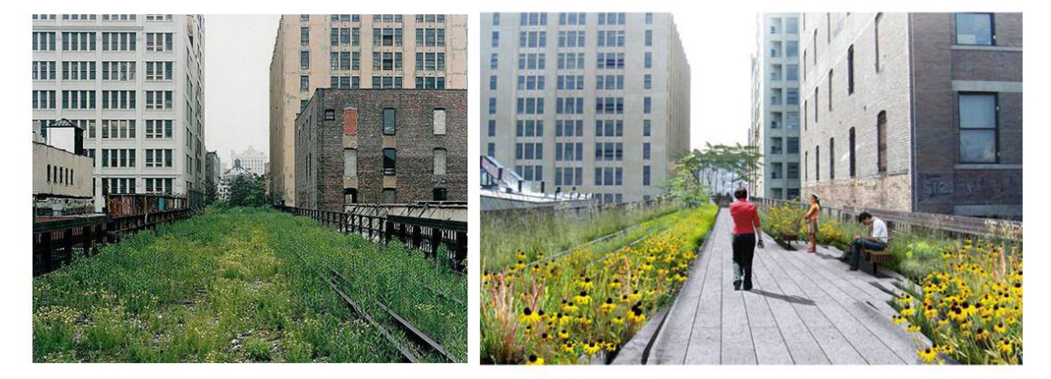 Ecologies of Elsewhere: Giving Urban Weeds a “Third Glance”