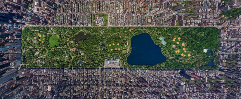 New York’s Central Park as Muse, as Imagination, as Home