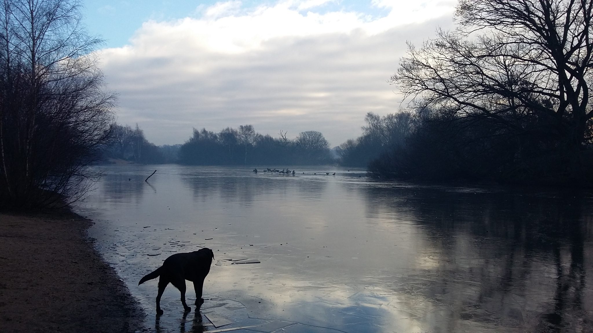 A Hymn to Nature in My City