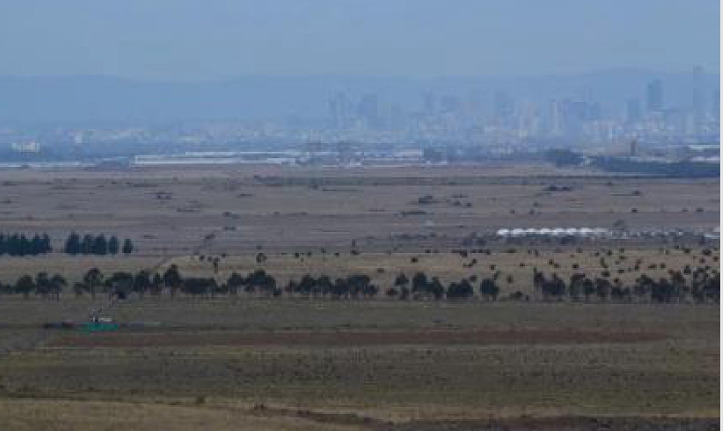 Biodiversity vs. Livability: What to do on the Victorian Western Volcanic Plain?