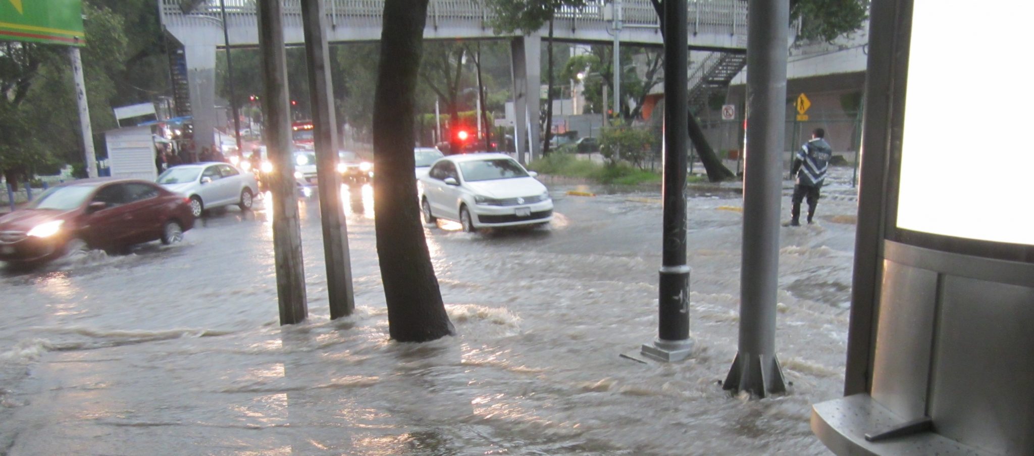 Thinking Like a Lake in Mexico City