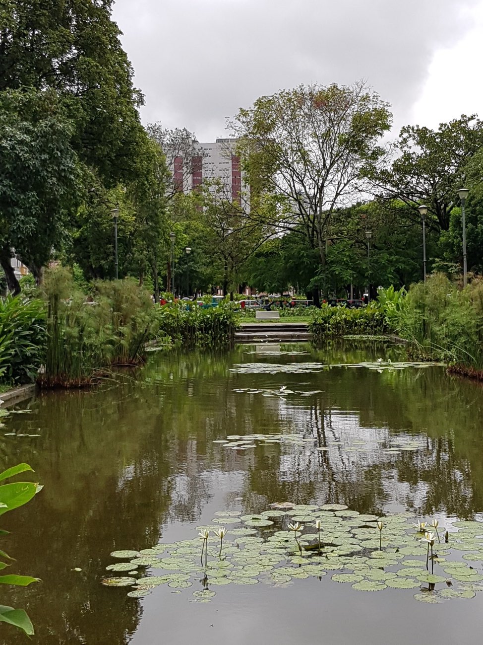 The New Urban Agenda: Is the Compact City Ecologically More Favorable than Dispersed Forms?